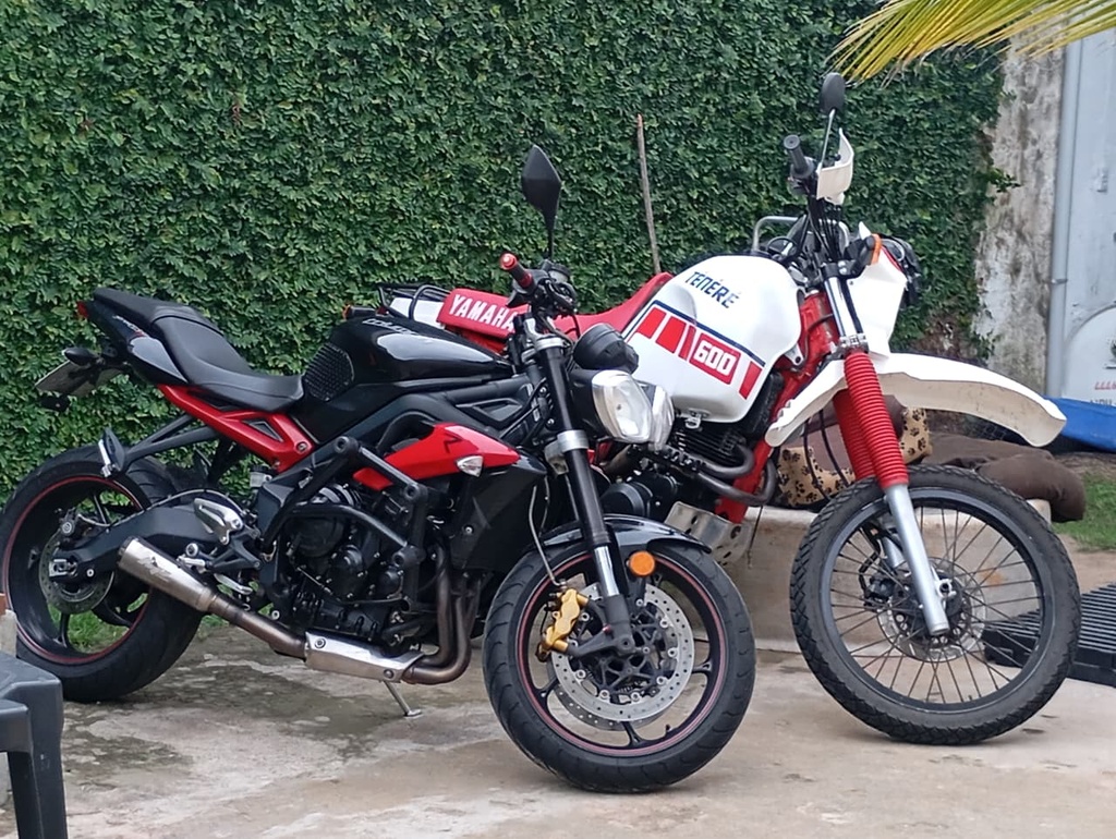 Espingarda Teste D